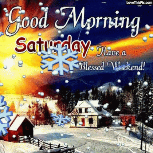 Best Saturday Gifs & Quotes Of The Day - picture 5