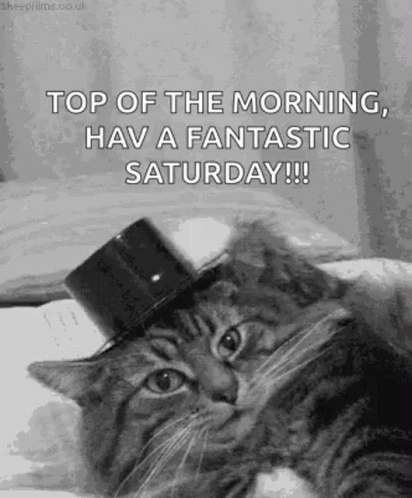 Best Saturday Gifs & Quotes Of The Day - picture 7
