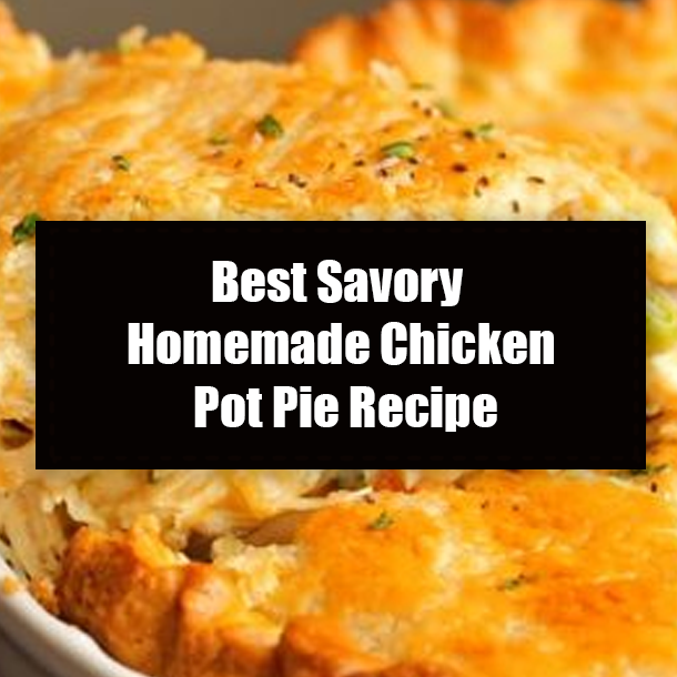 Best Savory Homemade Chicken Pot Pie Recipe