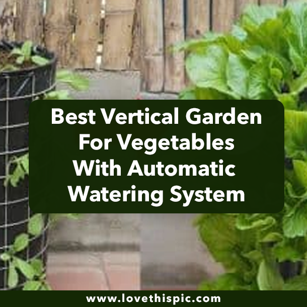 Best Vertical Garden For Vegetables With Automatic Watering System