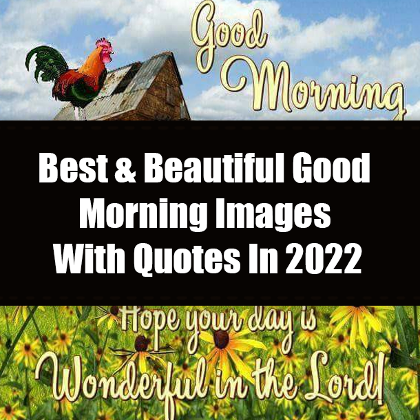Best & Beautiful Good Morning Images with Quotes In 2022