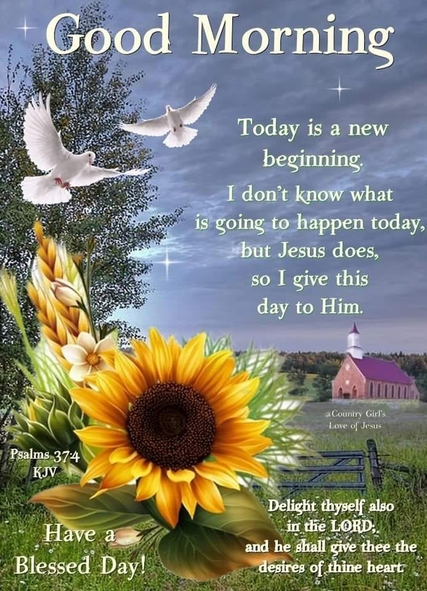 Best & Beautiful Good Morning Images with Quotes In 2022 - picture 10