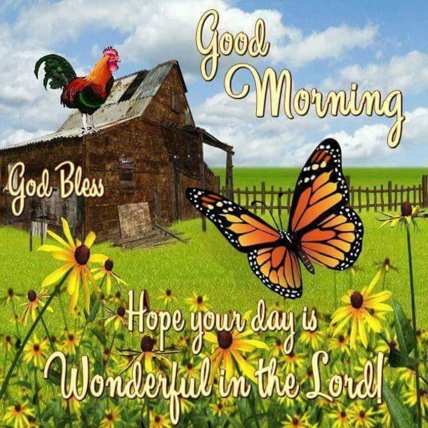 Best & Beautiful Good Morning Images with Quotes In 2022 - picture 9