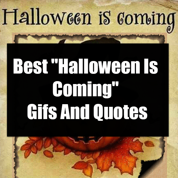 Best "Halloween Is Coming" Gifs And Quotes