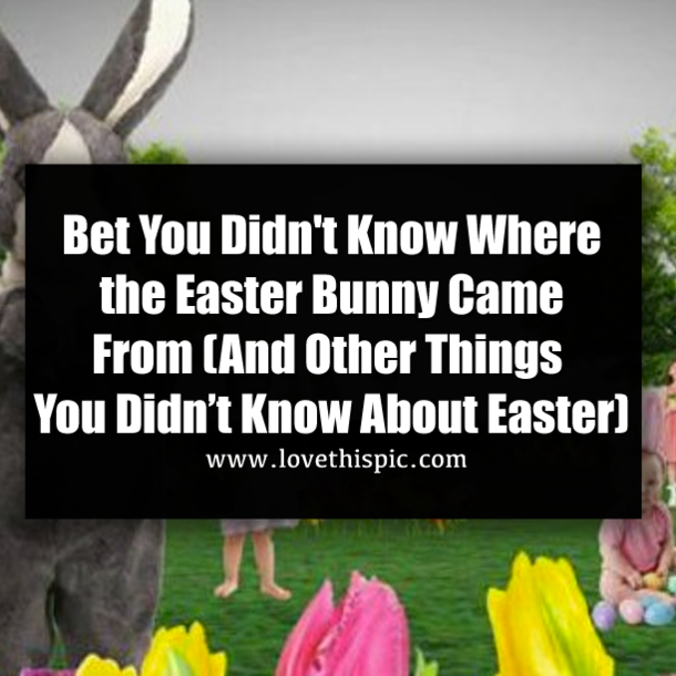 Bet You Didn't Know Where the Easter Bunny Came From (And Other Things You Didn’t Know About Easter)