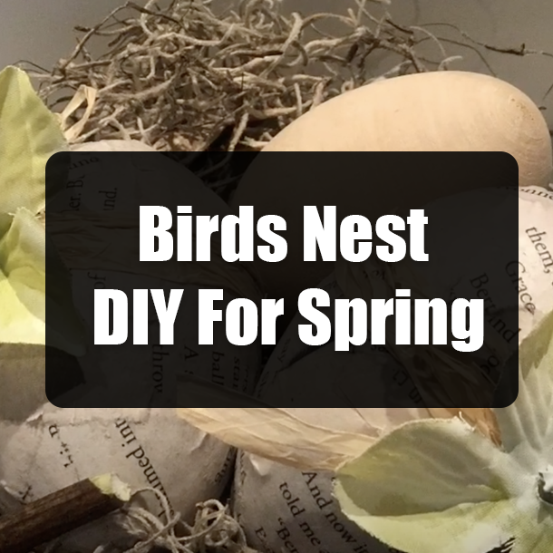 Birds Nest DIY For Spring