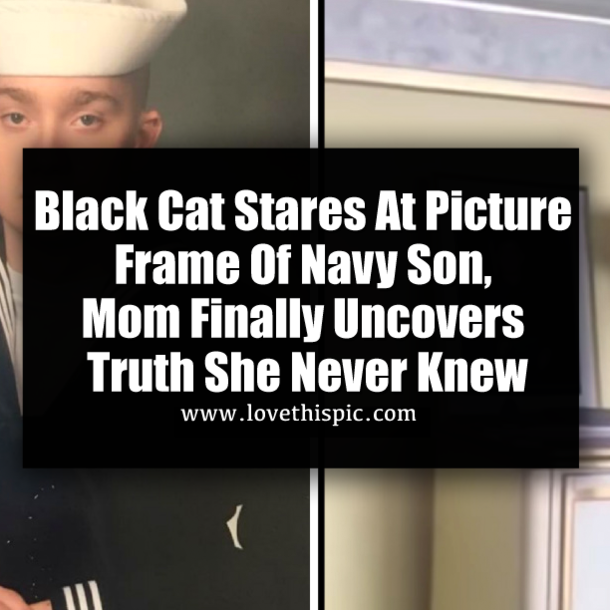 Black Cat Stares At Picture Frame Of Navy Son, Mom Finally Uncovers Truth She Never Knew