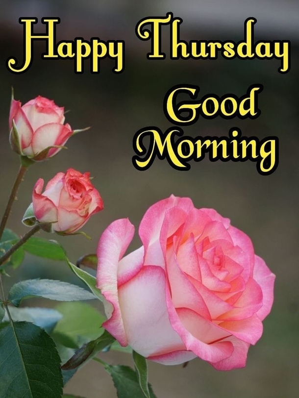 Blessed Your Day With These 10 Beautiful Good Morning Thursday Images & Quotes - picture 11