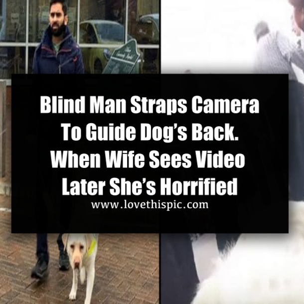 Blind Man Straps Camera To Guide Dog’s Back. When Wife Sees Video Later She’s Horrified