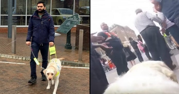 Blind Man Straps Camera To Guide Dog’s Back. When Wife Sees Video Later She’s Horrified - picture 2
