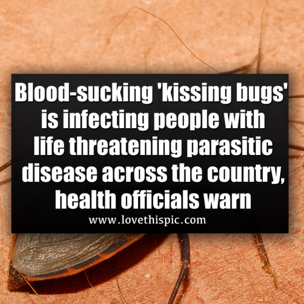 Blood-sucking 'kissing bugs' is infecting people with life threatening parasitic disease across the country, health officials warn