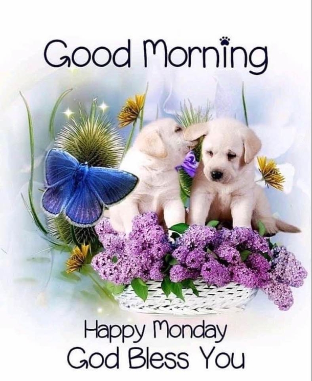 Boost Your Monday Mood With These 10 Monday Messages For The New Week - picture 2