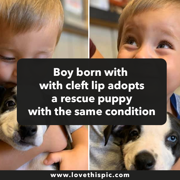 Boy born with with cleft lip adopts a rescue puppy with the same condition