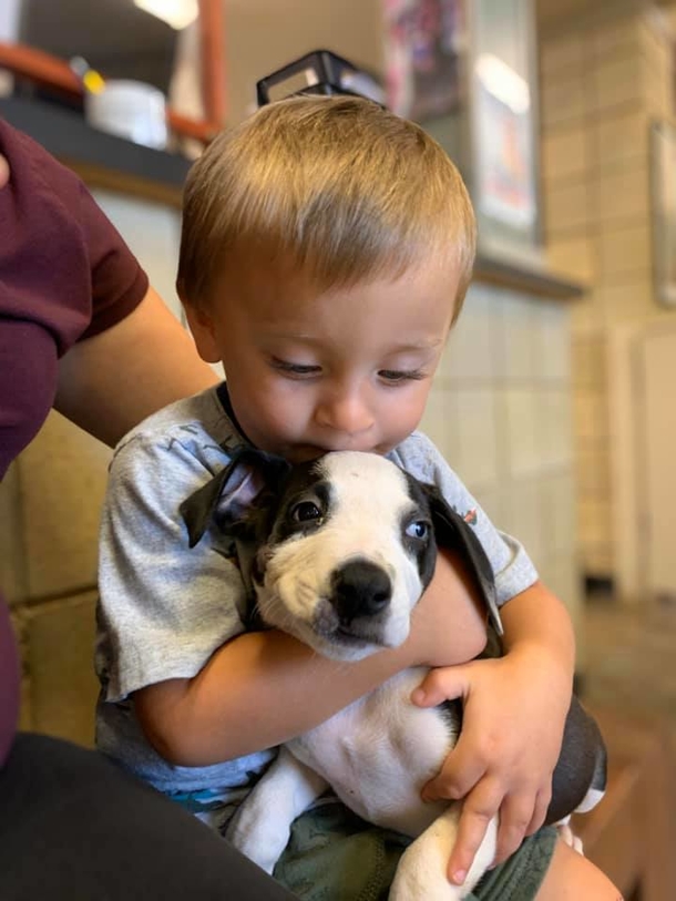 Boy born with with cleft lip adopts a rescue puppy with the same condition - picture 3