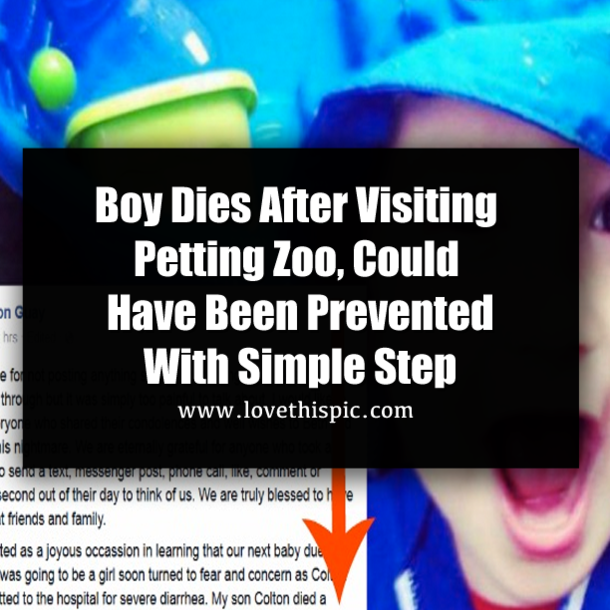 Boy Dies After Visiting Petting Zoo, Could Have Been Prevented With Simple Step