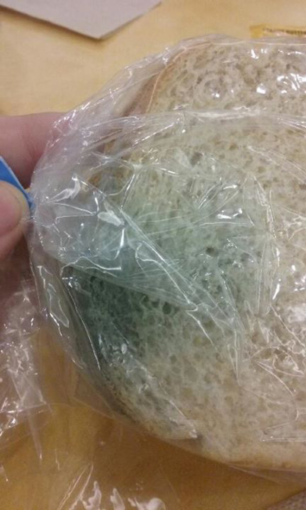 Boy Forgets Lunch Money, Asks School For Food, Gets Handed This (Photo) - picture 4