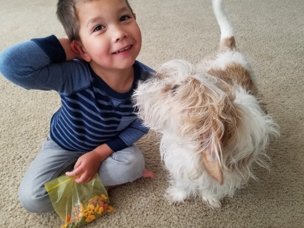 Boy goes to animal shelter to adopt a dog, uses allowance to rescue 2 other dogs - picture 2