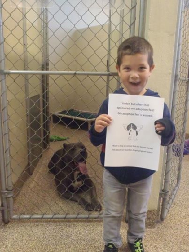 Boy goes to animal shelter to adopt a dog, uses allowance to rescue 2 other dogs - picture 3