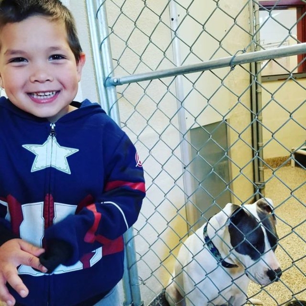 Boy goes to animal shelter to adopt a dog, uses allowance to rescue 2 other dogs - picture 4