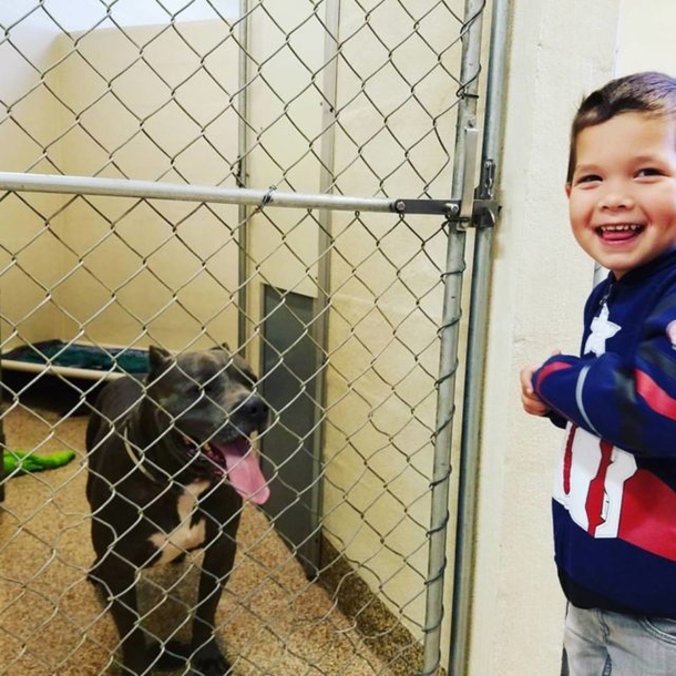Boy goes to animal shelter to adopt a dog, uses allowance to rescue 2 other dogs - picture 5