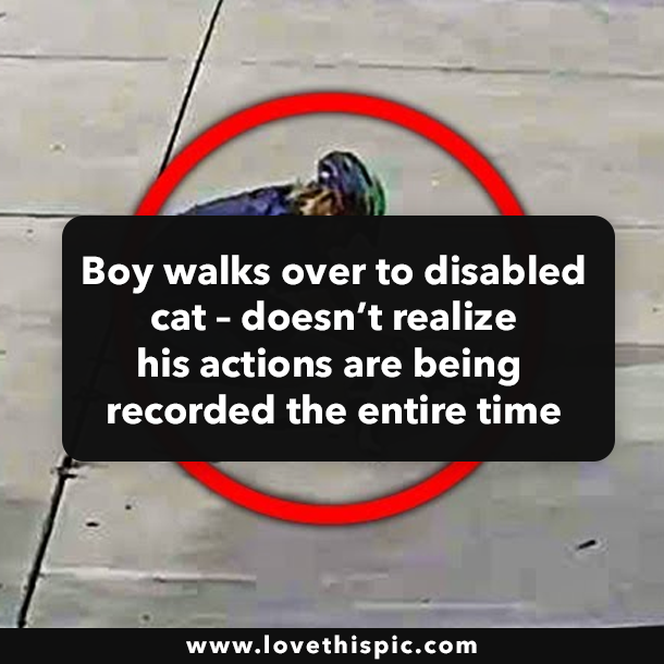 Boy walks over to disabled cat – doesn’t realize his actions are being recorded the entire time
