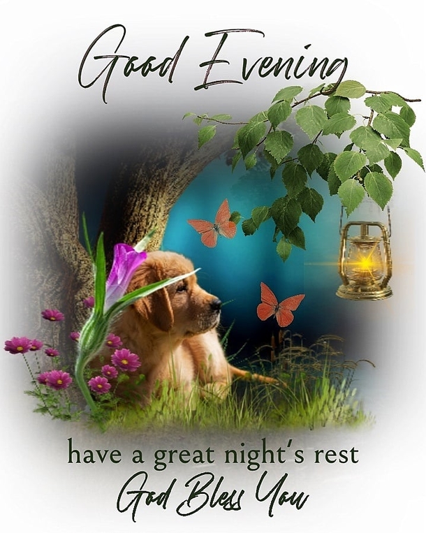 Breathtaking Good Evening Quotes & Images You Will Love - picture 10