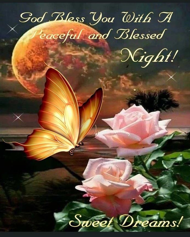 Breathtaking Good Evening Quotes & Images You Will Love - picture 11