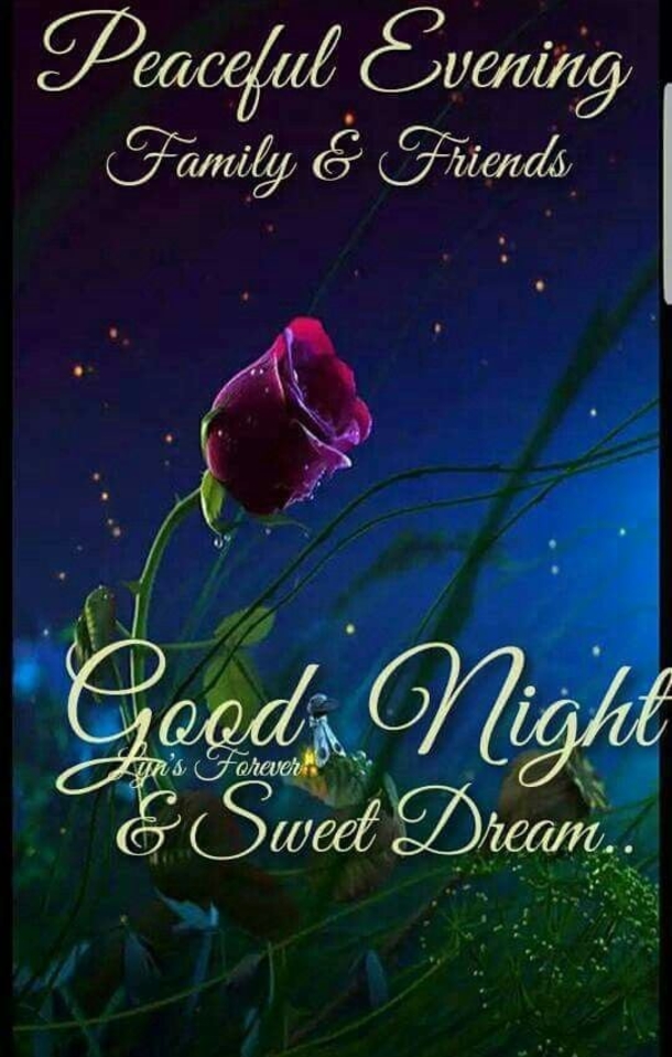 Breathtaking Good Evening Quotes & Images You Will Love - picture 7