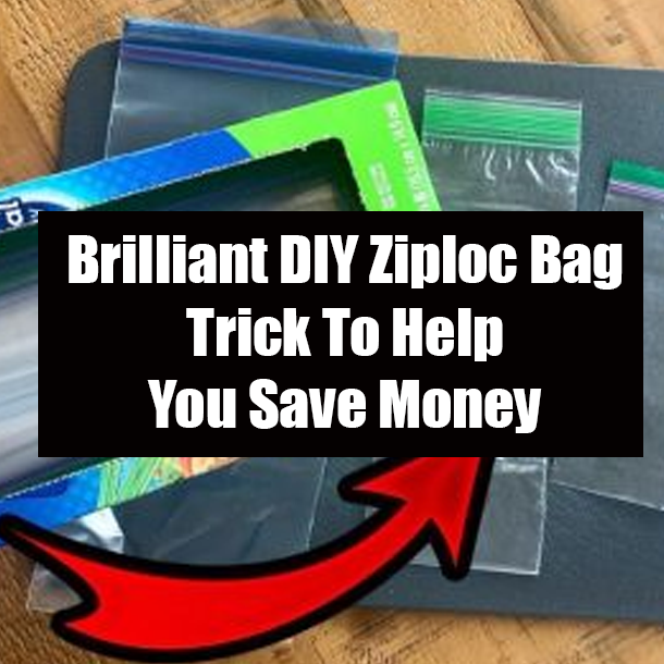 Brilliant DIY Ziploc Bag Trick To Help You Save Money