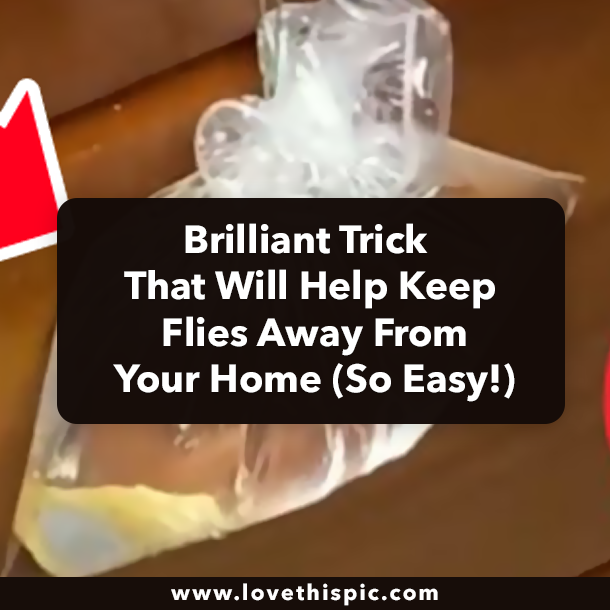Brilliant Trick That Will Help Keep Flies Away From Your Home (So Easy!)