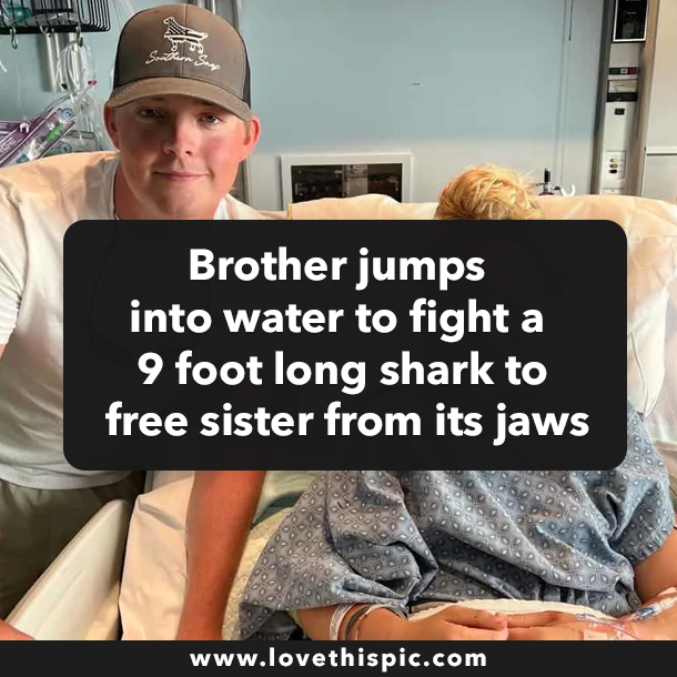 Brother jumps into water to fight a 9 foot long shark to free sister from its jaws