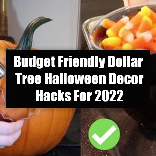 Budget Friendly Dollar Tree Halloween Decor Hacks For 2022