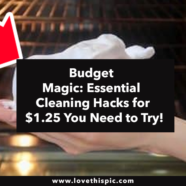 Budget Magic: Essential Cleaning Hacks for $1.25 You Need to Try!
