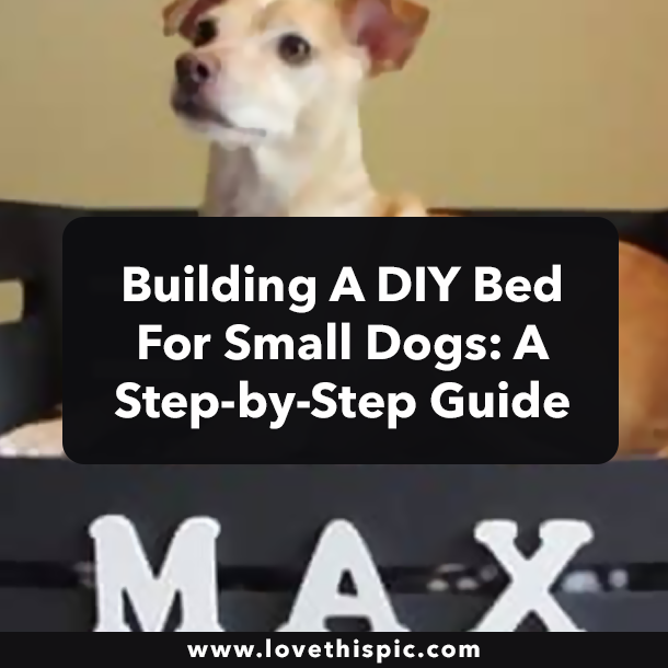 Building A DIY Bed For Small Dogs: A Step-by-Step Guide