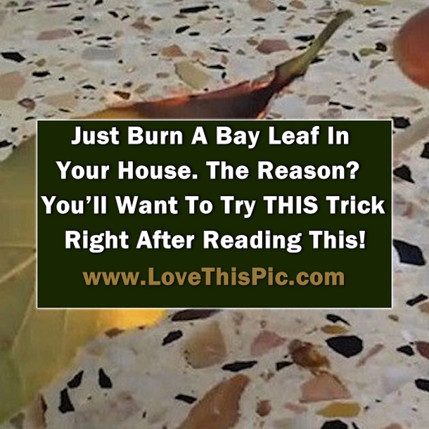Burn A Bay Leaf In Your House. The Reason? You’ll Want To Try THIS Trick Right After Reading This!