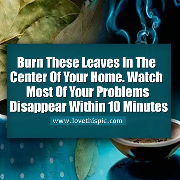 Burn These Leaves In The Center Of Your Home. Watch Most Of Your Problems Disappear Within 10 Minutes