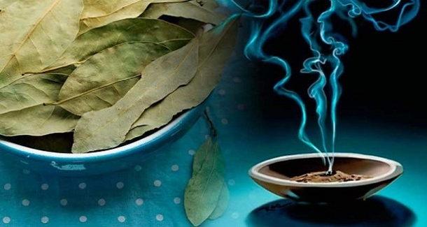 Burn These Leaves In The Center Of Your Home. Watch Most Of Your Problems Disappear Within 10 Minutes - picture 2