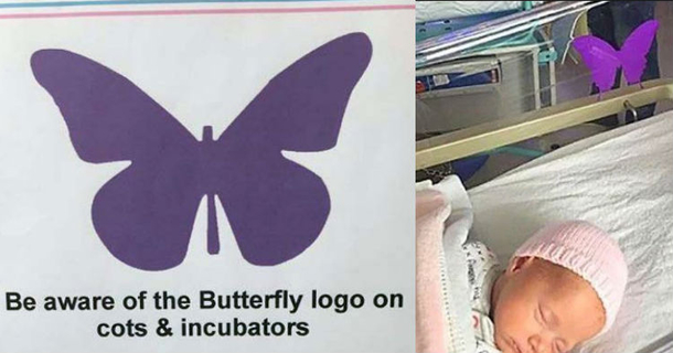 Butterfly Stickers Are Popping Up In Hospitals All Over America, What You Need To Know - picture 2