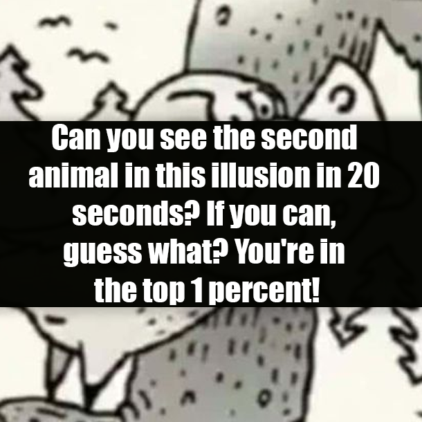Can you see the second animal in this illusion in 20 seconds? If you can, guess what? You're in the top 1 percent!