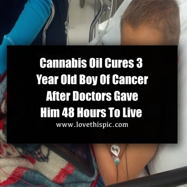 Cannabis Oil Cures 3 Year Old Boy Of Cancer After Doctors Gave Him 48 Hours To Live
