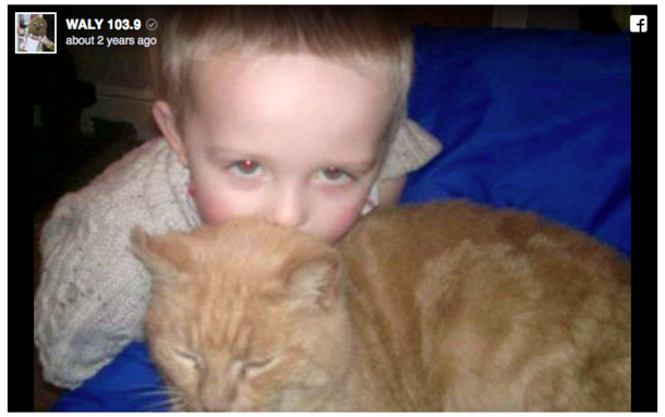 Cat dies and 5-yr-old is crushed – then he looks into cage and sees something that brings him to tears - picture 3