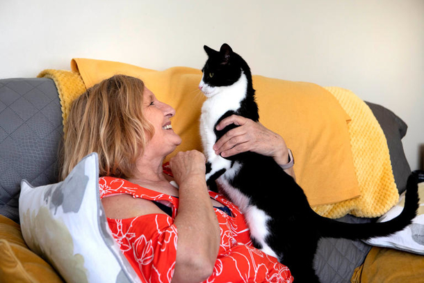 Cat who became the ears for his deaf owner has won  ‘Cat of the Year’ prize — you're amazing Zebby! - picture 2