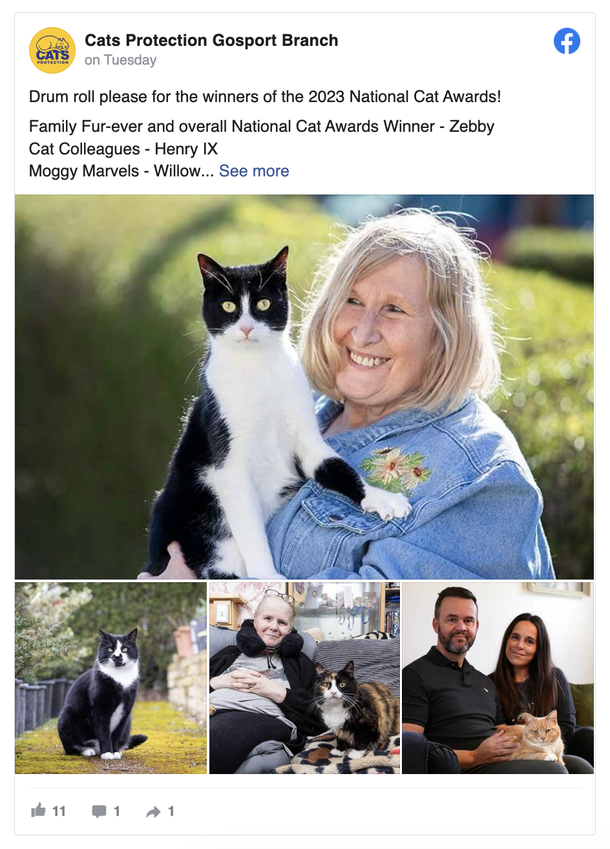 Cat who became the ears for his deaf owner has won  ‘Cat of the Year’ prize — you're amazing Zebby! - picture 3