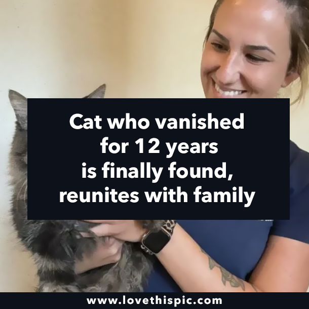 Cat who vanished for 12 years is finally found, reunites with family
