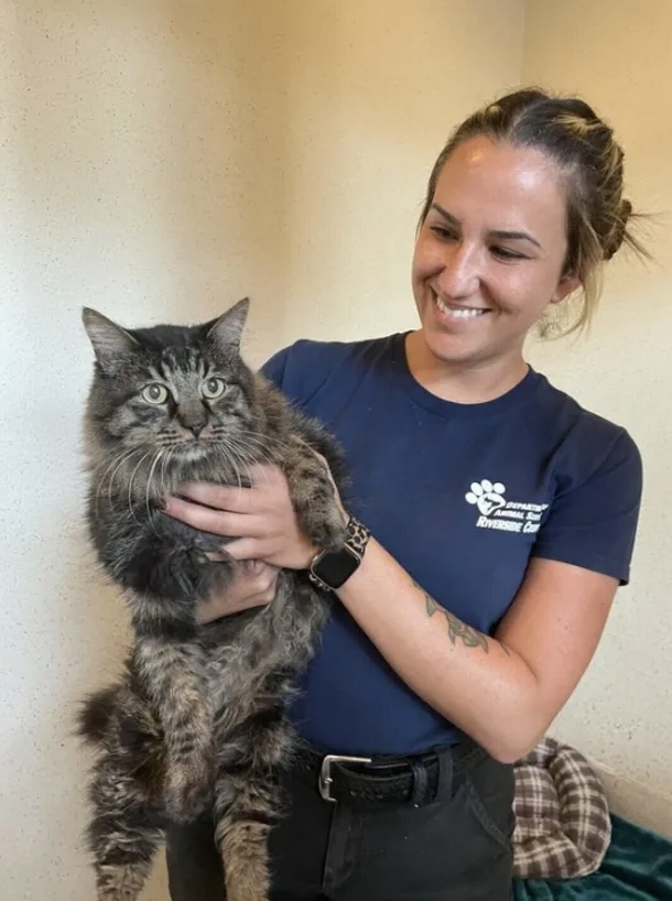 Cat who vanished for 12 years is finally found, reunites with family - picture 2