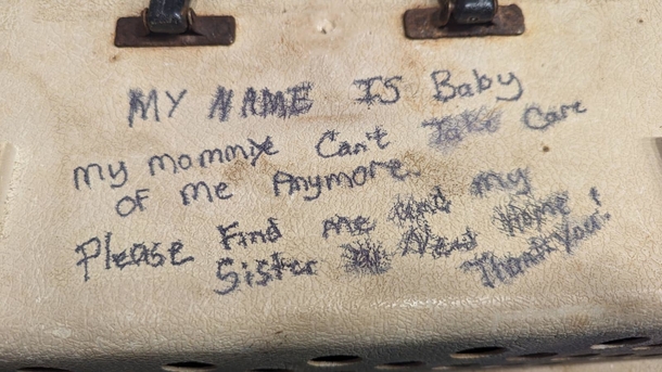 Cats abandoned with heart-crushing note, shelter writes a reply: “My mom can’t take care of me anymore” - picture 3