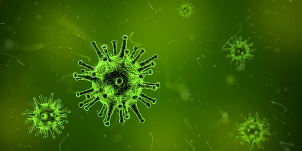 CDC Shares Warning About Resistant "Nightmare Bacteria" Spreading Through The US - picture 2