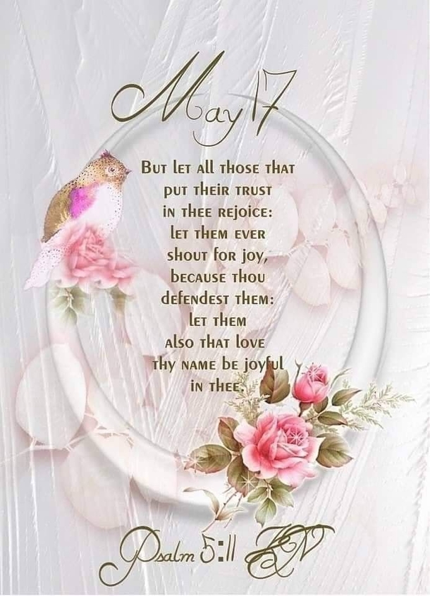 Celebrating May 17: 10 Inspiring Quotes and Sayings To Uplift Your Day - picture 10