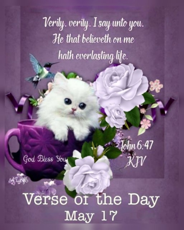 Celebrating May 17: 10 Inspiring Quotes and Sayings To Uplift Your Day - picture 2
