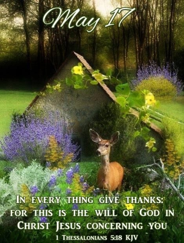 Celebrating May 17: 10 Inspiring Quotes and Sayings To Uplift Your Day - picture 3